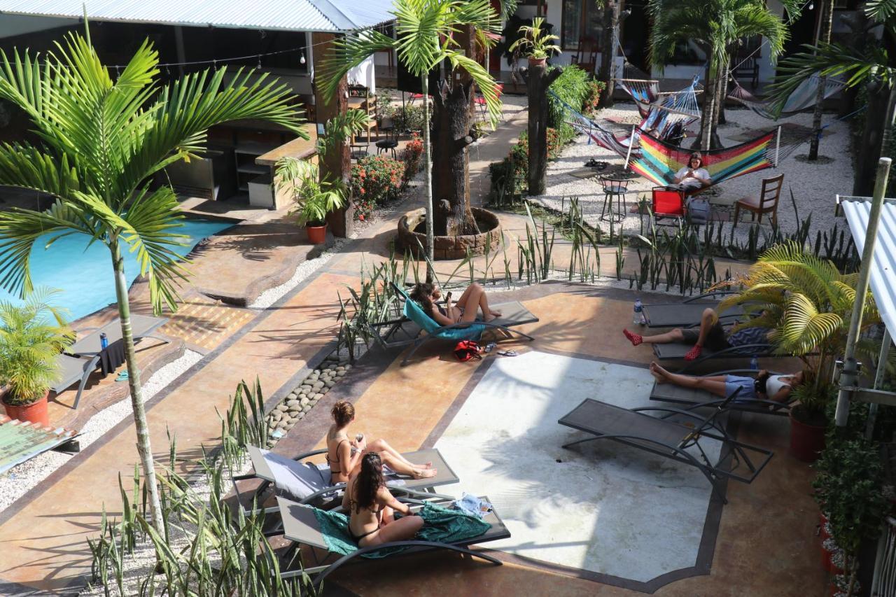 Arenal Poshpacker Hostel La Fortuna Bagian luar foto